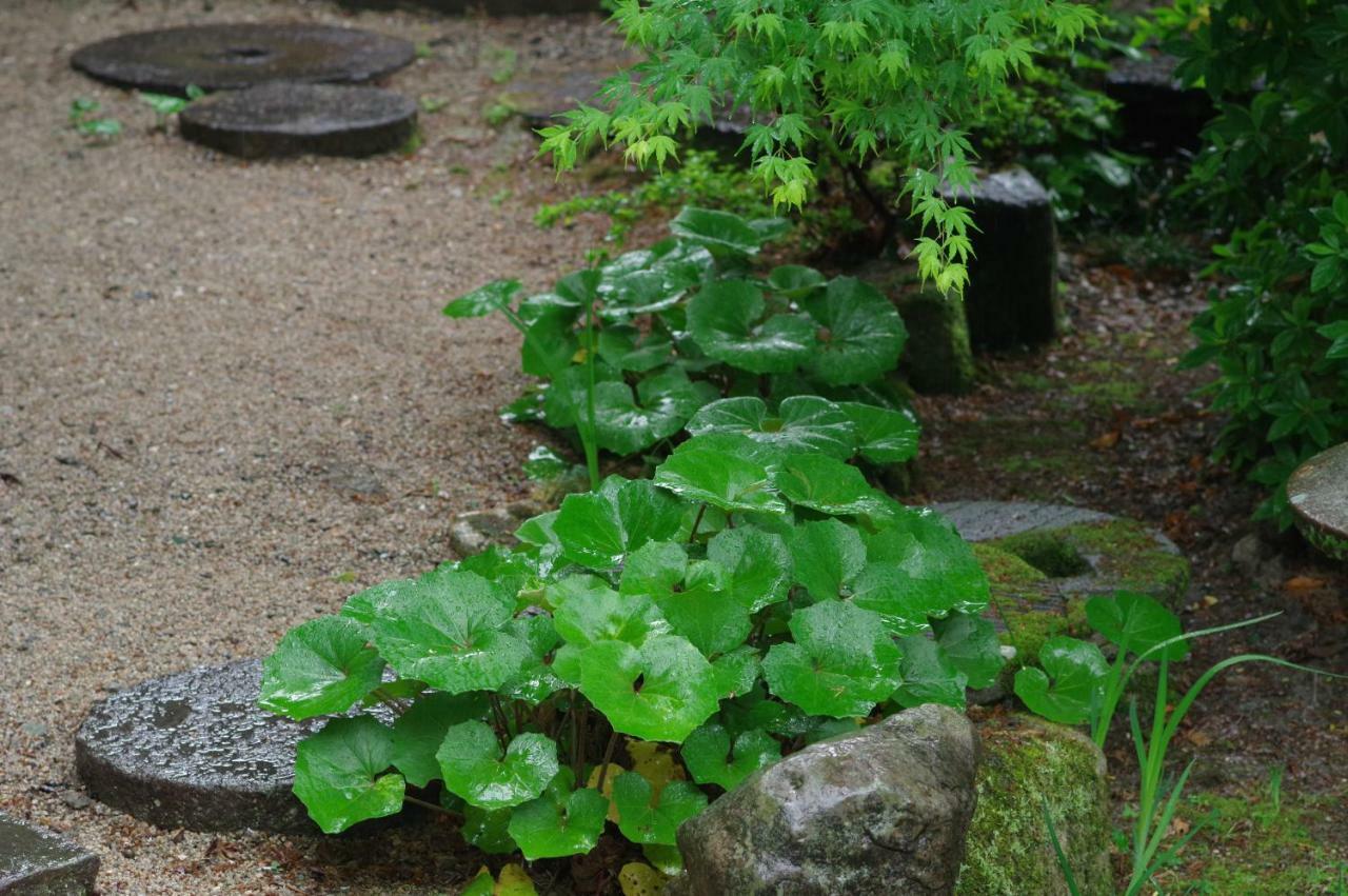Ohana Ryokan